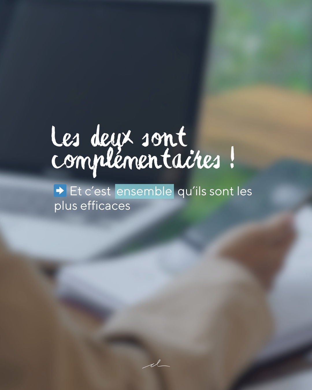 Site vitrine ou réseaux sociaux : faut-il vraiment choisir ?